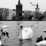 Praha