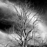 Strom (3. 7. 2018)