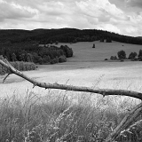 Rychlebské hory I (27. 6. 2021)