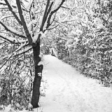 Cesta (10. 12. 2021)