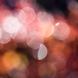 Borůvkový bokeh