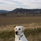Tady to mám nejradši.