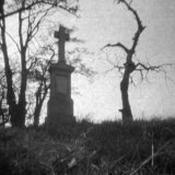 Kříž a strom