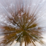 Minutio