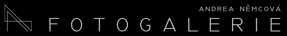 FotoGalerie