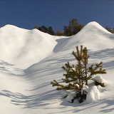 Zima I
