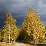 Poduim 2009 III