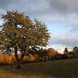 Liliová hora