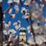 Kostel sv. Martina v jarních kulisách