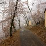 Jinovatka