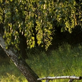 Odpočinková