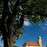Kostel sv. Martina I