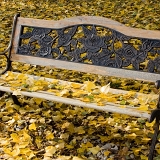 Podzimní lavička