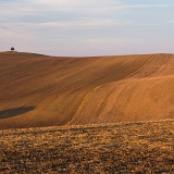 Solitér