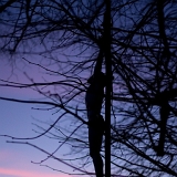 INRI (31. 1. 2021)