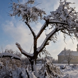 Kostel sv. Martina II (10. 12. 2021)
