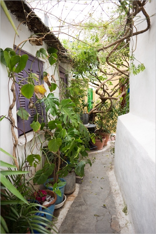 Plaka
