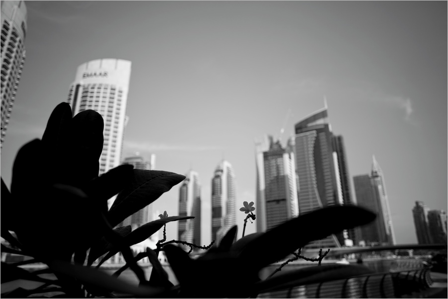 Dubai Marina