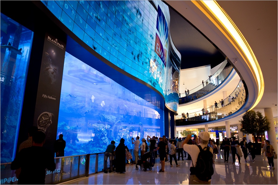 Akv�rium