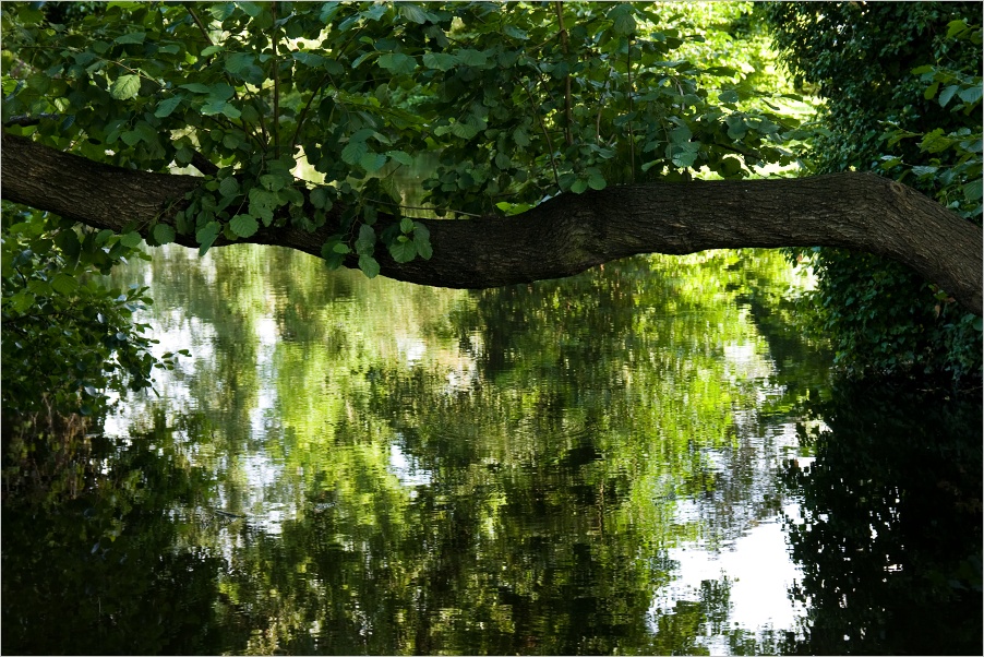 Park Sanssouci - jez�rko