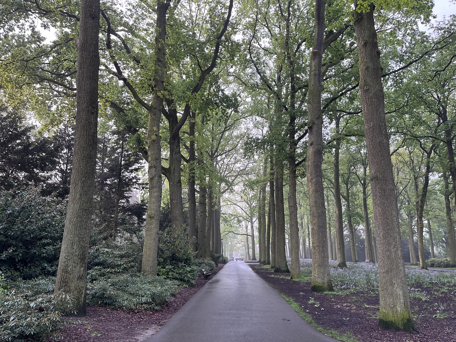 M�stsk� park