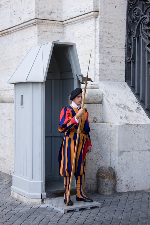 �v�carsk� garda