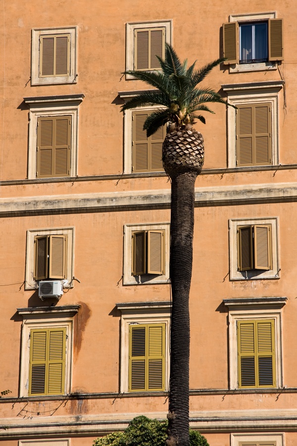 Ananas.