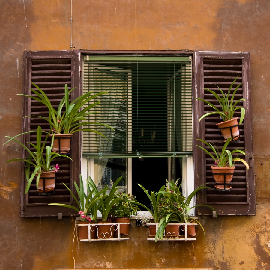 Rostlinn okno