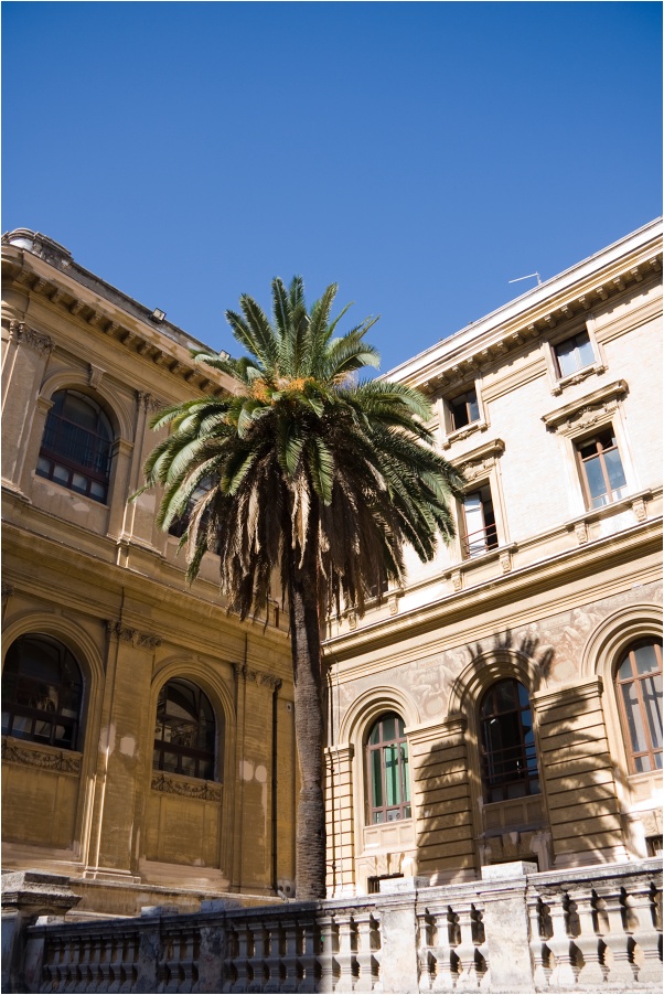 ��msk� univerzita La Sapienza