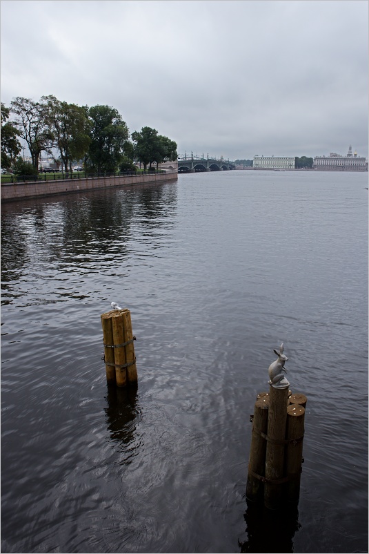 Zaje�� ostrov
