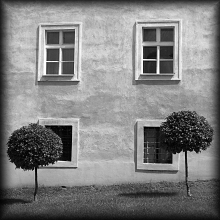 architektura