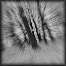 experimenty