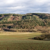 Pístovické panorama