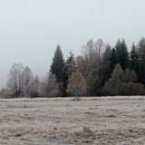 Šumava pod Šindlovem
