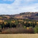 Nemojanské Kopaniny