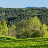 Šumava z Kašperských Hor