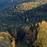 Údolí Vydry (25. 10. 2019)