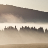 Šumava u Nových Hutí (26. 10. 2019)