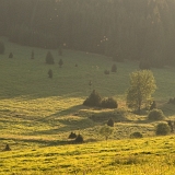 Kepelské Zhůří (16. 8. 2020)