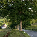 Šumava