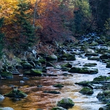 Kouzelná Vydra