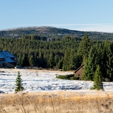 Šumava z Filipovy Hutě II