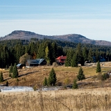 Šumava z Filipovy Hutě I
