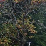 Křížek (2018)
