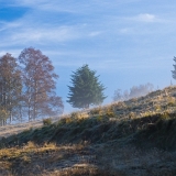 Ráno IV (2018)