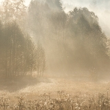 Ráno II (2018)