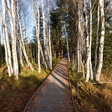 U Chalupské slati (2019)