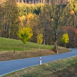 Cesta (2019)
