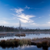Svítání na Chalupské slati (2019)