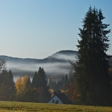 Šumava u Nových Hutí I (2019)